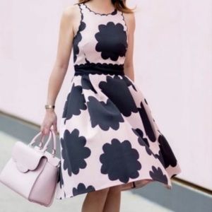 KATE SPADE New York Petal Stamp Fit And Flare Dress size 10 NWT